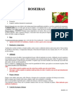 Roseiras PDF