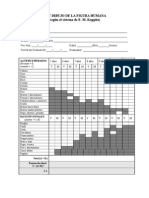 Protocolo Test Dibujo de La Figura Humana