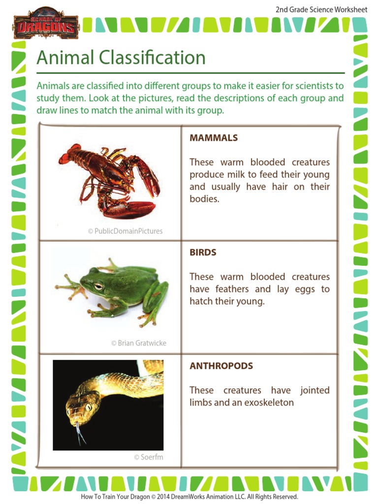 animal-classification-2nd-grade
