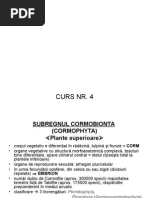 CURS4_II