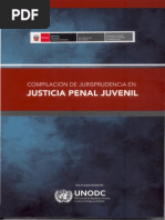 Compilación de Jurisprudencia en Justicia Penal Juvenil