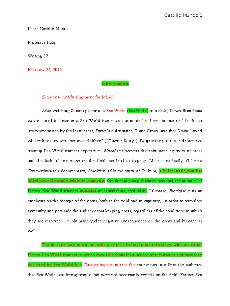 Seaworld argumentative essay image