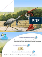 Contracepcao 14 PDF