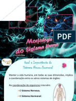 Morfologia Sistema-Nervosol PDF
