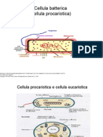 Tir Cell Batterica 2012