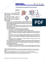 Embriologia 02 - Spermatogenesi, Fecondazione e Prima Settimana PDF