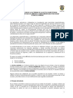 Procedimiento para La Determinacion de Acetilcolinesterasa INS PDF