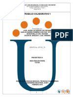 Fase 1 200171 76 Consolidado