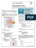 Enfermedad diverticular y complicaciones del colon