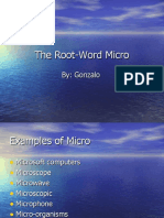 The Root-Word Micro