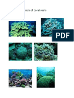 Kinds of Coral Reefs
