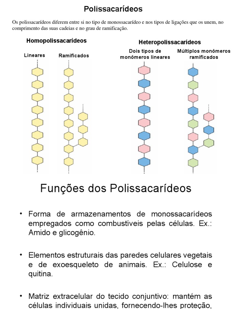 Polissacarídeos De Reserva Energética De Origem Animal