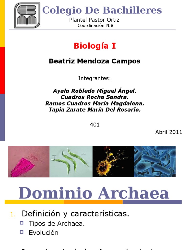 Características y Tipos de Arqueobacterias | PDF | Archaea | Las bacterias