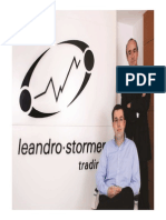 Stormer2803 PDF