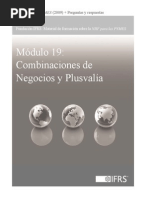 19 - Combinación de Negocios y Plusvalía