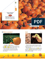 grade 2 unit 4 2 life cycle of a pumpkin