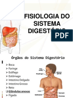 fisiologiadosistemadigestrio-130517105101-phpapp01