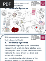 1/6　12インチ　U.S.ARMY 10th SPECIAL FORCES Cardiac Surgery in The Adult - 24-41 | PDF | Heart