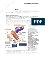 ANEMIA FERROPÉNICA, Hemolitica y Megaloblastica