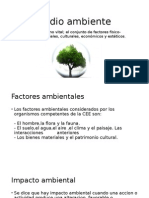 Estudio de Impacto Ambiental