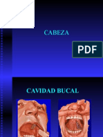 Semiologia Cabeza y Cuello