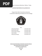 Download Lap Mikro-mikologi by awangyogapratama SN258207219 doc pdf