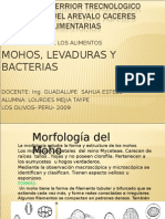 Mo Hos Leva Duras y Bacterias