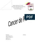 Educ Salud Cancer de Piel