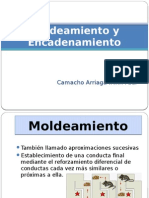 Moldeamiento y Encadenamiento