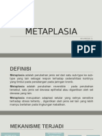 METAPLASIA