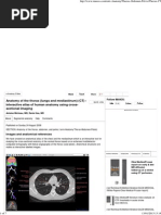 Thorax Anatomy Diagrams Overview | PDF
