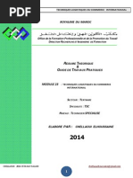 Download Techniques Logistiques Du Commerce International by AbdeltifAitBraim SN258230927 doc pdf