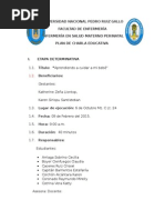 PLAN DE CHARLA RN 2015-FINAL.docx