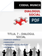 23 Dialogul Social