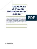 ARQUEOBACTERIAS Familia Methanobacteriaceae