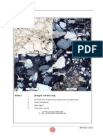 Clay Matrix: Plate 1: (Sample Ref Removed)