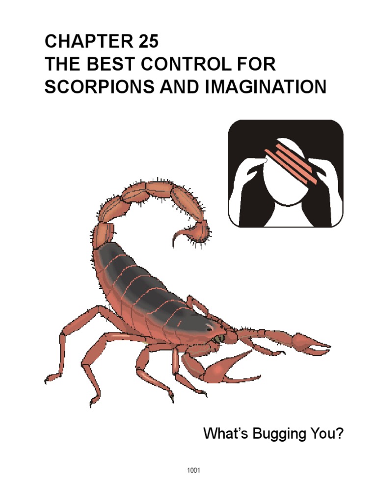 The Best Control For Scorpions and Imagination What's Bugging You