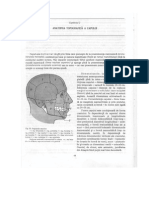 2.Anatomia Topografica a Capului