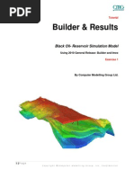 Basic CMG Workflow Course Notes - 2010.10