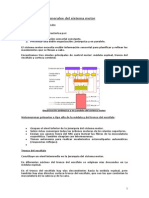 Resumen Sistema Motor