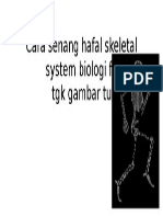 Cara Senang Hafal Skeletal System DGN TGK Gambar