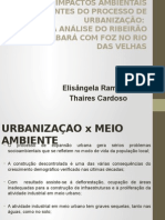 OS IMPACTOS AMBIENTAIS DECORRENTES DO PROCESSO DE URBANIZAÇÃO: UMA ANÁLISE DO RIBEIRÃO CAETÉ/SABARÁ COM FOZ NO RIO DAS VELHAS