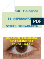 Anatomi Fisiologi Sistem Indera Penglihatan Stikes Yogyakarta