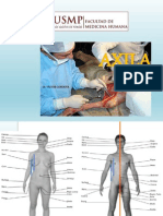 Anatomía Axila