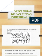 Morfologías de Las Piezas Individuales