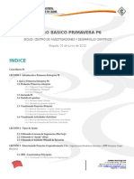 Primavera P6 Curso Basico Espanol UD