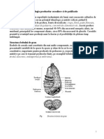 Tehnologia Produselor Cerealiere