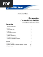 Apostila Completa Cont. Pub. 2