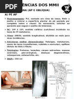2 - Incidências Dos Mmii