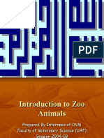Introduction to Zoo Animals